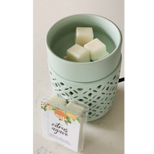 Load image into Gallery viewer, The Spring Collection - Soy Wax Melts